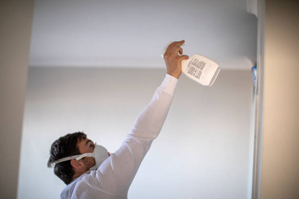 Best Office Mold Removal Services  in Montgomery Village, MD