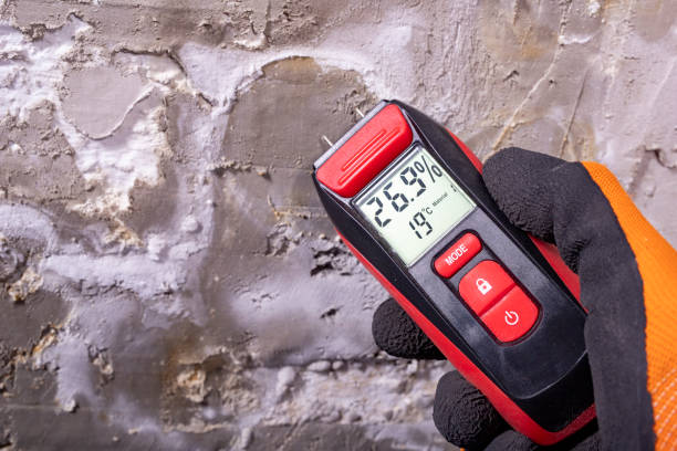 Best Mold Removal Company Near Me  in Montgomery Village, MD