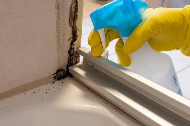 Best Mold Testing  in Montgomery Village, MD